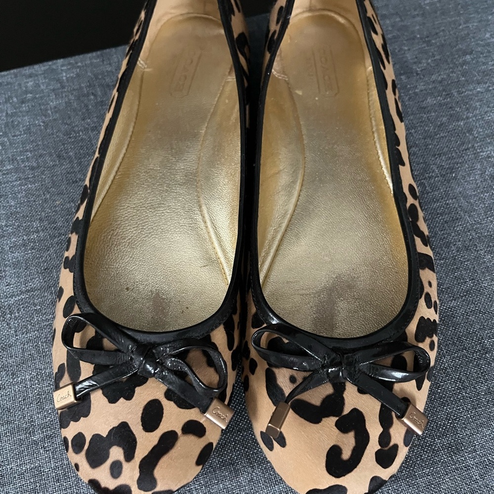 Leopard Print Ballet Flats with Black Trim size 9